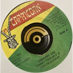 Tommy Trouble & Jaslyn Clarke ‎– Awahwe Do - Capricorn