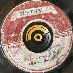Horace Andy "Not a know it all" Justice